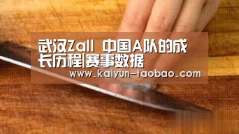 武汉Zall 中国A队的成长历程|赛事数据(图2) 赛事数据